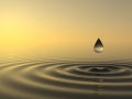 Zen drop falls into the water