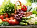 Fresh organic vegetables in wicker basket in the garden