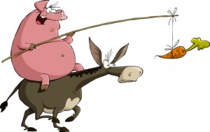 Esel, Karotte, Schwein, Hamsterrad